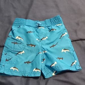Joe Boxer 18 M Swim Trunks